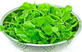 Berkebun sayur di pekarangan rumah apakah anda memiliki pekarangan kecil di rumah,namun bingung hendak menanam apa ? Inilah Beberapa Cara Menanam Sayuran Di Pekarangan Rumah Bibit Online