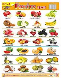 Buy Wall Charts Of Plastics Non Tearable Of Fruits For Kids