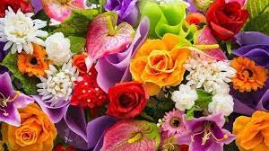 What Kind Of Flower Are You Quiz Flower Show Flower Meanings Bunch Of Flowers