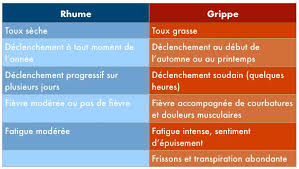 Grippe Et Rhume Quelles Differences