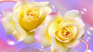 Free Yellow Rose Wallpapers Wallpaper Cave Click on the yellow roses wallpaperchoose the open link in new window from your browser and than choose save image option to download this image in your. free yellow rose wallpapers wallpaper