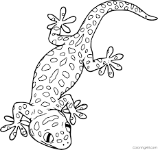 Cute leopard coloring page free printable coloring pages. Common Leopard Gecko Coloring Page Coloringall