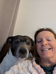 Missing a beloved pet and considering adoption