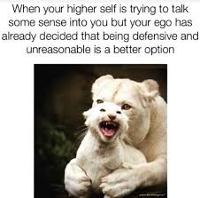 Spiritual Humor Funny Spiritual Memes Humor Bones Funny