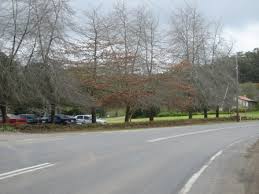 Kami telah menemukan semua yang anda butuhkan termasuk kata bonus yang tersedia. Australia 9 19 September 2010 Part 3 Melbourne Pasangan Traveling