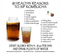 Kombucha Tea Kombucha Benefits Kombucha Health Benefits Kombucha Recipe