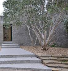 Most of these are never seen in gardens and many are probably unsuitable due to their size. Trees For The Urban Landscape Eckersley Garden Architecture
