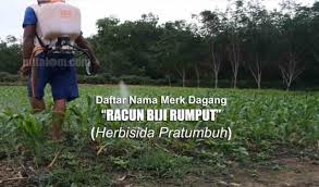 Ngurus channel 1.427 views9 months ago. 9 Nama Merk Dagang Obat Pembeku Biji Rumput Lengkap Herbisida Pratumbuh