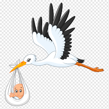 Before we dive into a bird's process of bathing, you might be wondering why baths are important in the first place. Baby Background Png Images Pngwing