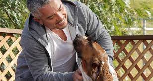 Can i use baby shampoo for a dog bath? Pin On Jedi