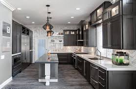 Backsplash Light Grey Shaker Style Kitchen Cabinet Painted In Benjamin Moore 14 Kitchen Interior Design Modern Modern Kitchen Interiors Interior Design Kitchen