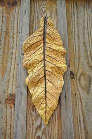 Sandcast Cement Wall Art Made From A Real Tobacco Leaf Tobacco Leaf Cement Leaves Concrete Garden Ornaments