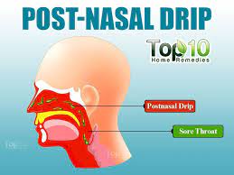 Illustration Showing Post Nasal Drip Post Nasal Drip Remedy Stuffy Nose Remedy Sinus Remedies