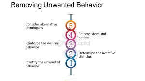 Image result for Behavior Modification