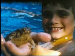 1966 Summer Pool Party