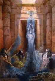 Image result for Ophrestia