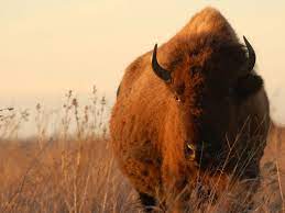 We did not find results for: Show Me The Money Ecosystem Ecosystem Marketing Work At Home Ecosystems National Geographic Animals Living And Nonliving