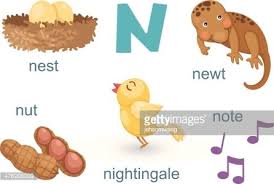 Learn how to run multivariate, a/b/n tests for your marketing campaigns. Alphabet N Letter Note Newt Nest Nut Nightingale Clipart Image