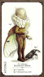 Care And Feeding Of Sprites Animalitos Criaturas Magicas Criaturas Mitologicas Y Hadas