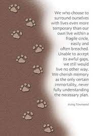 Whether you are looking for some comfort after the loss of your friend, choosing what to inscribe on a pet urn or headstone, posting of your affection for your pet on social media, or creating a memorial tattoo or keepsake, you'll find the perfect pet loss quotes and poems below. 99 Pet Loss Poems Ideas Pet Loss Dog Quotes Pet Loss Grief