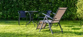 It is 99.9% weed free. Which Zoysia Grass Type Is Right For My Lawn Abc Blog