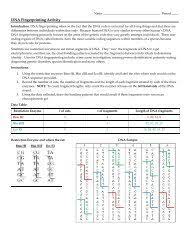 Study biodiversity of species 4. Dna Fingerprinting Activity