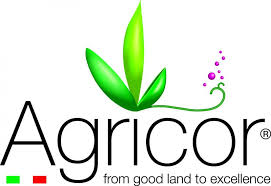 Pubblicizza la tua ricerca venditori alimentare sul sito rappresentanti.it, l'unico specializzato da anni nel cerco agenti ristorazione, agenti di commercio alimentare, venditori horeca dolciario, agenti salumi enasarco formaggi. Rappresentanza Food Agenzie Rappresentanza Food Caterfin Consulenze E Agenzie Food