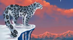 All 3d 60 favorites abstract animals anime art black cars city dark fantasy flowers food holidays love macro minimalism motorcycles music nature other smilies space sport technologies textures. Wild Animals Wallpapers 52 Best Wild Animals Wallpapers And Images On Wallpaperchat