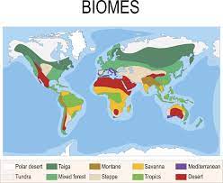 There Are Zones On Earth That Get Divided Known As A Biome Biome Includes Large Regions That Have Similar Biotic Compone Biomes Ecosystems Tropical Rainforest