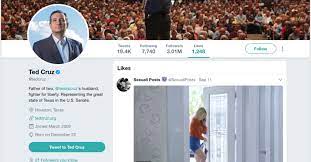 Ted Cruz has been reported to Twitter for liking porn - The Verge