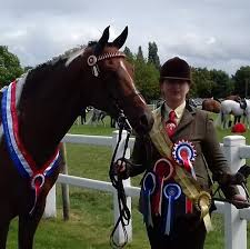 The UK In-hand Awards