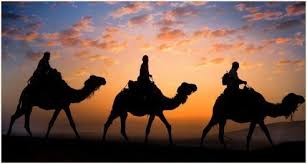 It's been a long, long time. What Can Camels Teach Us About Fundamental Truths Ewc
