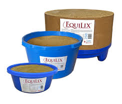 Image result for Equilabium selukwense