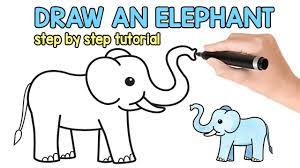 How to draw an elephant simple & easy step by step for beginners☞ fanpage facebook drawing for beginners: How To Draw An Elephant Simple How To Draw Tutorial Youtube