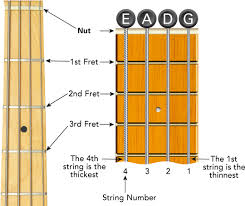 bass guitar fretboard diagram learn to play music blog