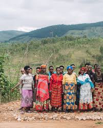 Image result for Sesbania pachycarpa