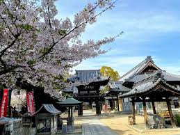 太山寺 愛媛県松山市 一夜にして建てられたという伝説の寺 第52番札所 仁淀川 によどがわ 日本一の清流 2020 松山市 御堂 清流