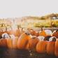Thanksgiving supper club — The White Hart event image