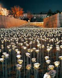 Dongdaemun Design Plaza Seoul Korea Led Rose Design Seoul Travel Spot