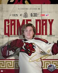 MAP South Hockey (@MAPSouthHockey)