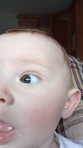 I've added more pics (My fiance has dark dark blue eyes for reference with  a tiny brown speck only noticable if staring into his eyes mine vary but  mostly blue with green