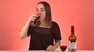 Never pay more than £6 for a bottle of vino again? FEMAIL tests out £49.95  Winewizard gadget which claims to transform cheap reds, whites and roses  into fine vintages | Daily Mail Online