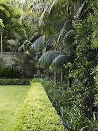 Buxus Hedge With Mixed Planting By William Dangar Associates Via Flickr When Caring Fo In 2020 Tropical Garden Plants Tropical Garden Design Tropical Landscaping