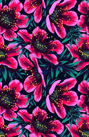 Check spelling or type a new query. Wallpapersclub Pantalla Floreada Muero De Encanto Facebook