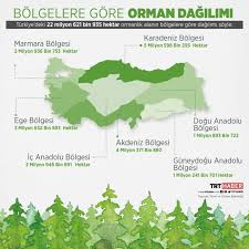 Ülkemizde uygun dikim zamanı ilkbahar dönemidir. 2023 Hedefi 7 Milyar Fidan Son Dakika Haberleri