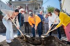 Tree Planting at Devries Park