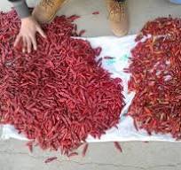 Mini CCD Spice Color Sorter Pepper Chili Color Sorting Machine