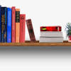 The most dynamic & transparent bookshelf. 1