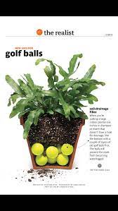 Most plants need drainage whether in pots or in the ground. Golf Balls As Soul Drainage Filler On Indoor Potted Plants With No Drainage Hole From Real Simple Magazin Potted Plants Patio Plants Potted Plants Outdoor