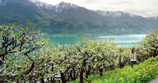 spring in norway put a spring in your step during the months of march april and may the days get longer and the we holidays in norway visit norway norway